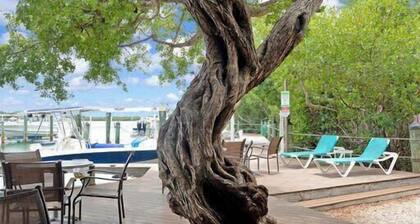 Mahi Mahi Manor Studio Condo