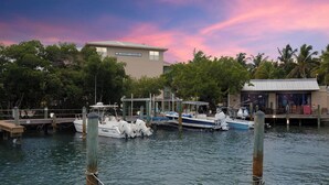 Un puerto deportivo con barcos amarrados, un edificio con el rótulo 'Coconut Mallory' y un restaurante con terraza.