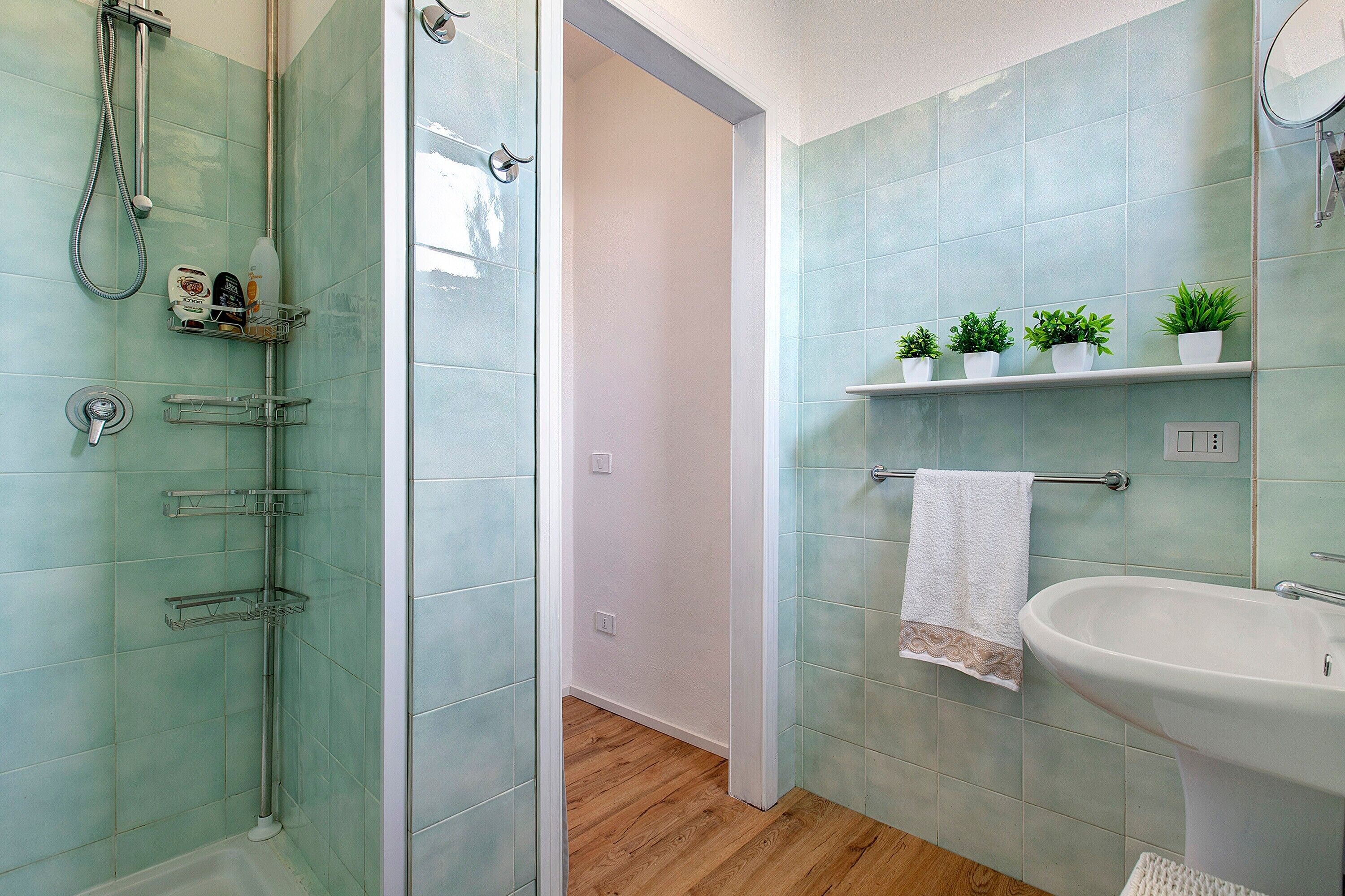 A bathroom with a shower, a sink, and a shelf with plants.
