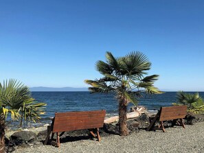 A beach with two wooden benches, a palm tree, and a rocky shoreline.
