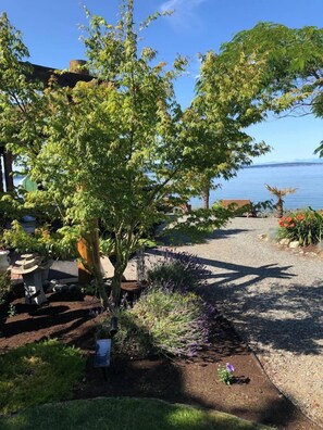 A garden with a gravel path leading to a body of water, surrounded by various plants and a small tree.
