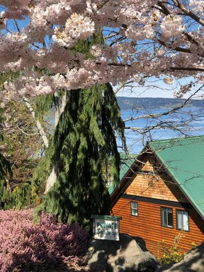 A cabin with a green roof, surrounded by trees and a sign indicating a private driveway.