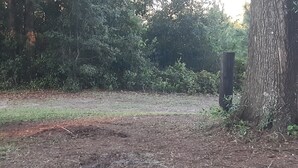 Un espace naturel en plein air, doté d’un sol en terre, entouré d’un feuillage et d’arbres denses.