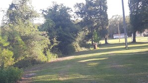 Une zone herbeuse avec des arbres et un sentier.