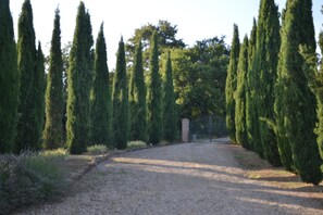 Property grounds - Secluded Chianti Estate with Infinity Pool in the Hills of Siena (Toscana)