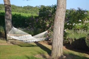Property grounds - Secluded Chianti Estate with Infinity Pool in the Hills of Siena (Toscana)