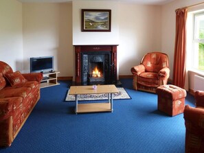 TV, fireplace - 3 Bed in Dingle (oc-ii00613) (Feohanagh)