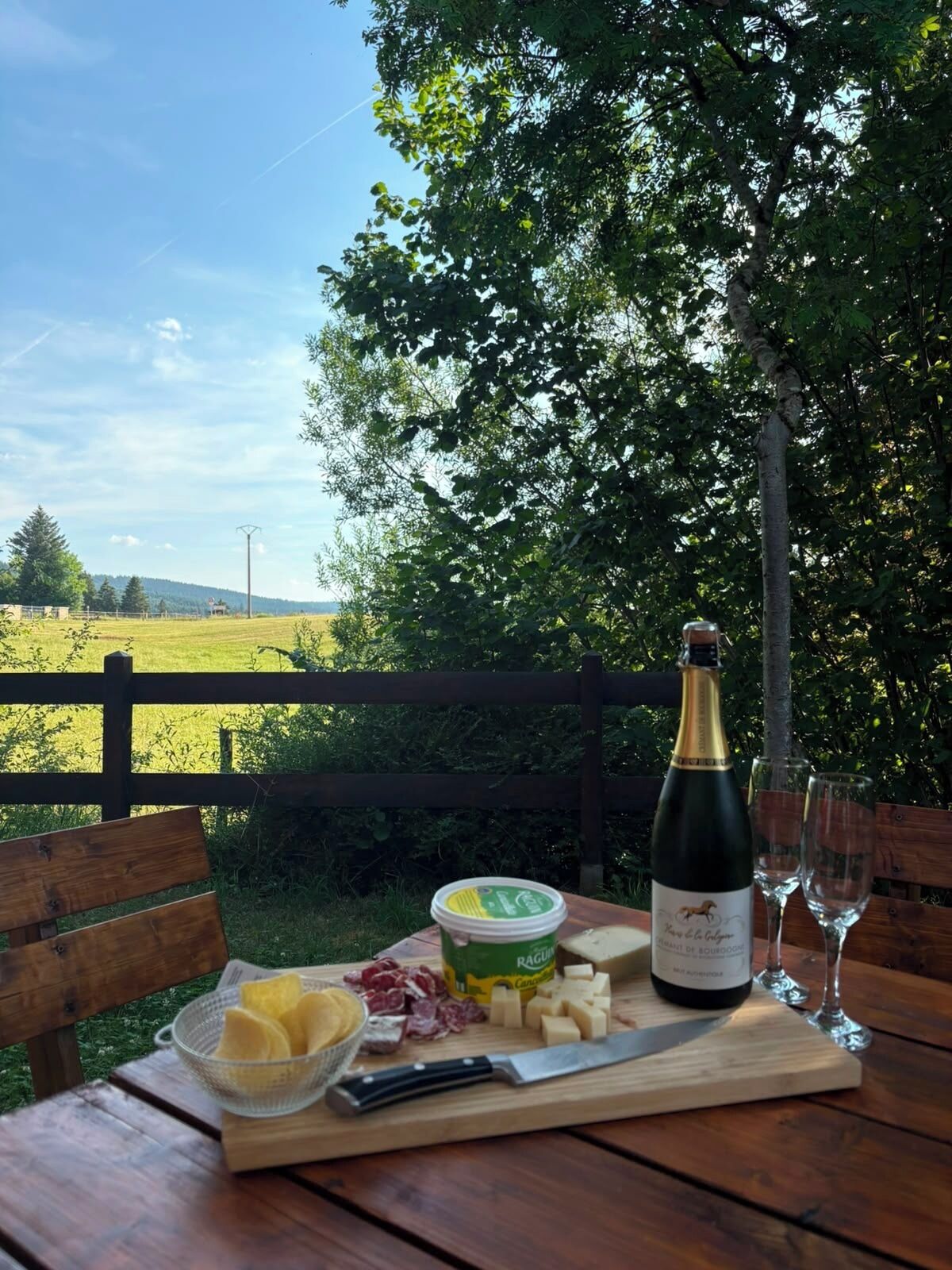 A picnic setup with a bottle of wine, glasses, cheese, and a bowl of fruit on a wooden table.