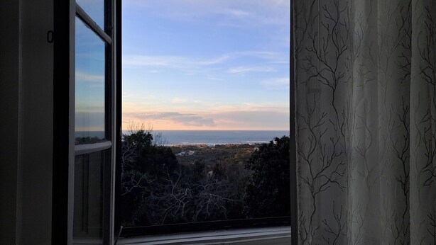Une vue à travers une fenêtre ouverte, avec un rideau orné d’un motif d’arbres, donnant sur un paysage arboré et un horizon lointain.