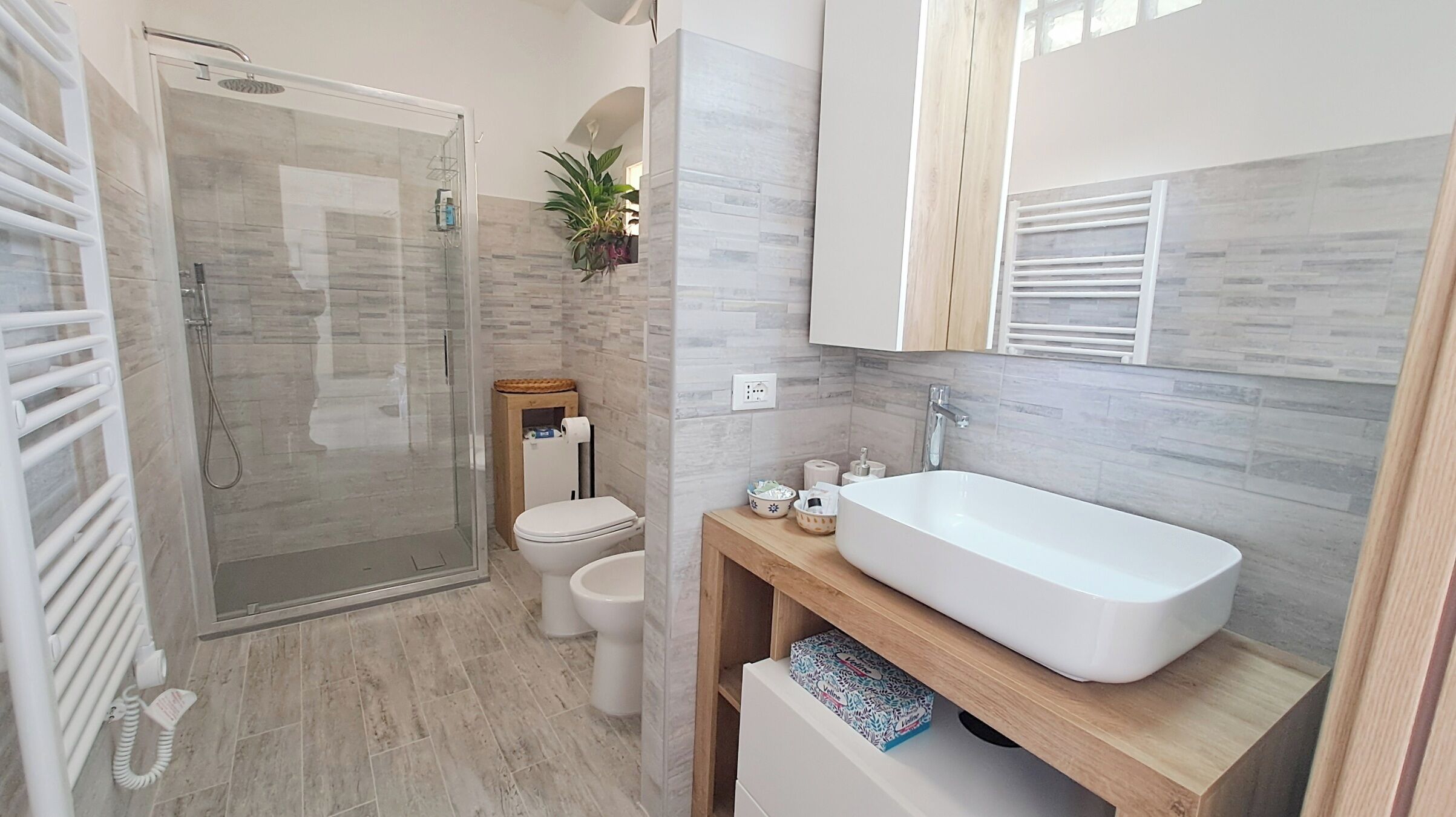 Regadera, secadora de cabello, bidet, toallas 