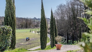 Un chemin de gravier, de grands cyprès, un vignoble entouré de clôtures et une vue lointaine sur une colline.