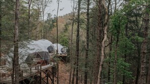 Un bosque con casas en los árboles unidas por pasarelas de madera.
