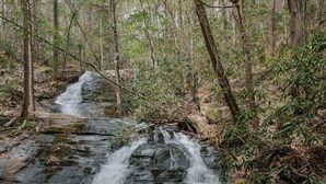 Una cascada natural en un área boscosa con rocas y árboles.