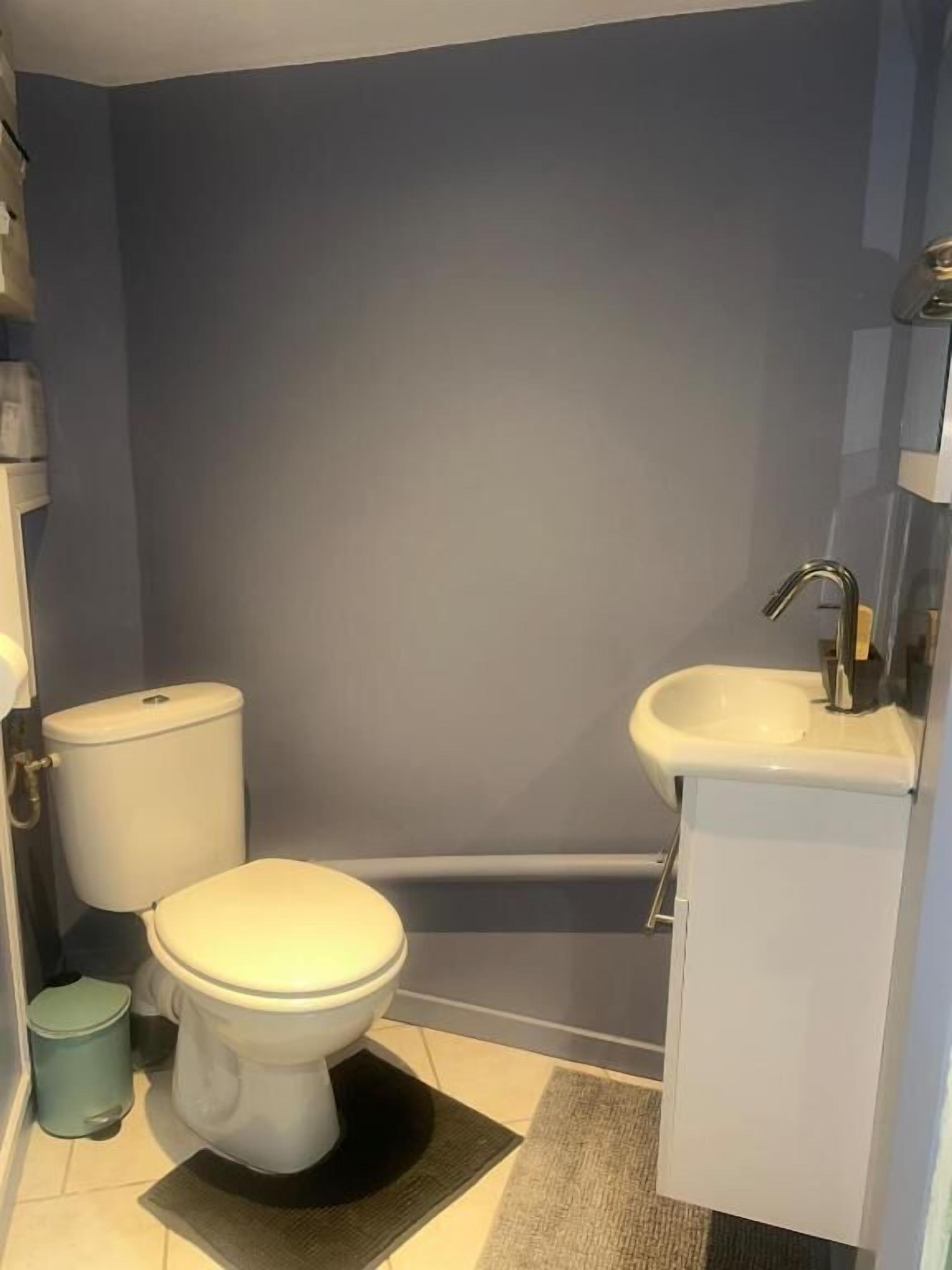 Een kleine badkamer met toilet, wastafel en prullenbak.
