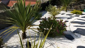 A garden with various plants and a building in the background.