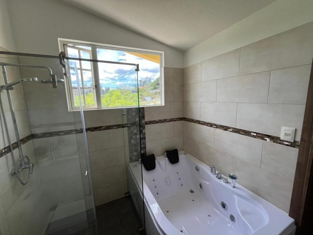 A bathroom with a glass shower enclosure, a bathtub, and a window with a view.
