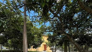 A paved pathway leading to a building with a yellow facade, surrounded by trees. - Hotel Arupo Residence Aeropuerto (Tababela)