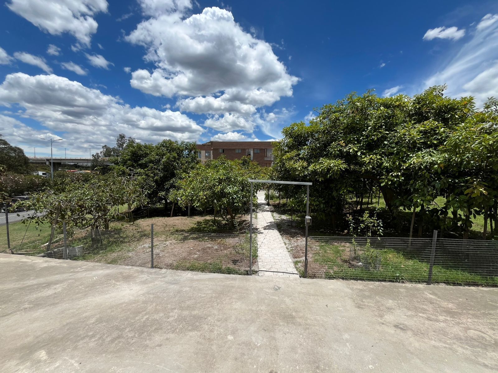 Un sendero pavimentado que conduce a un edificio, rodeado de árboles y una cerca.