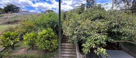 Vista desde una ventana con jardín y escalera que conduce a un espacio cubierto.