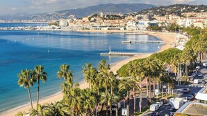 A coastal cityscape with a beach, palm trees, and a marina. - SURCOUF (Cannes)