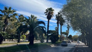 Una carretera bordeada de palmeras bajo un cielo azul despejado.