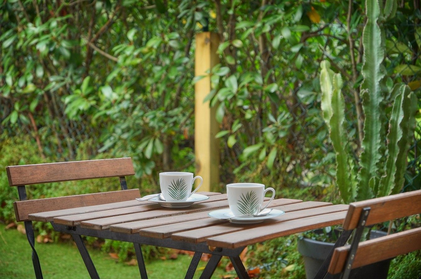 A wooden table with two white cups and saucers, set outdoors with a green leafy background.