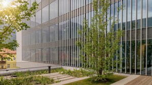 Un bâtiment moderne doté de panneaux de verre verticaux, d’une terrasse en bois et d’un petit arbre.