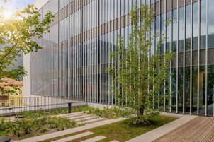 Un edificio moderno con paneles de vidrio verticales, una terraza de madera y un pequeño árbol.