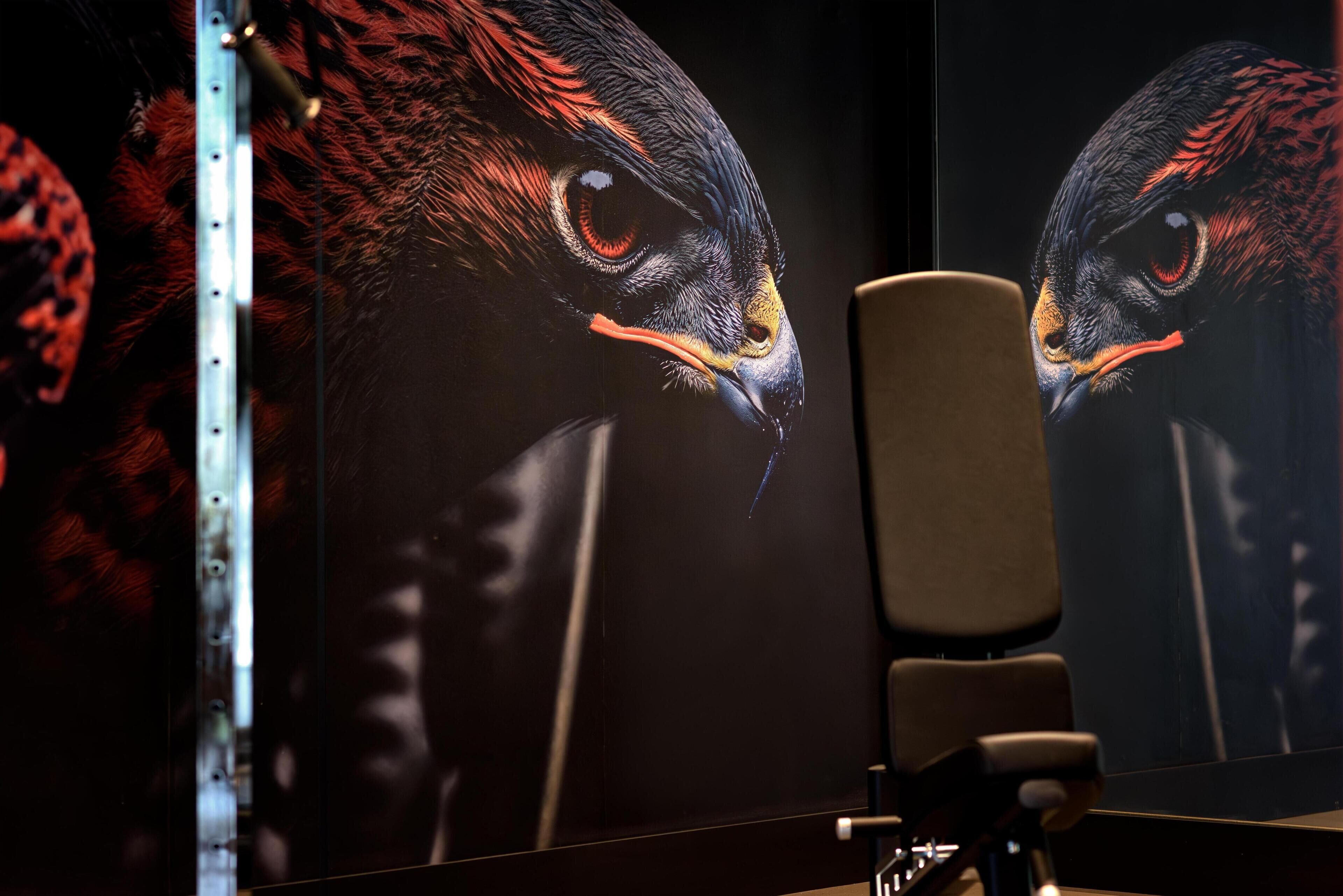 Un mur orné d’une grande fresque détaillée représentant un oiseau, une structure métallique et une chaise.