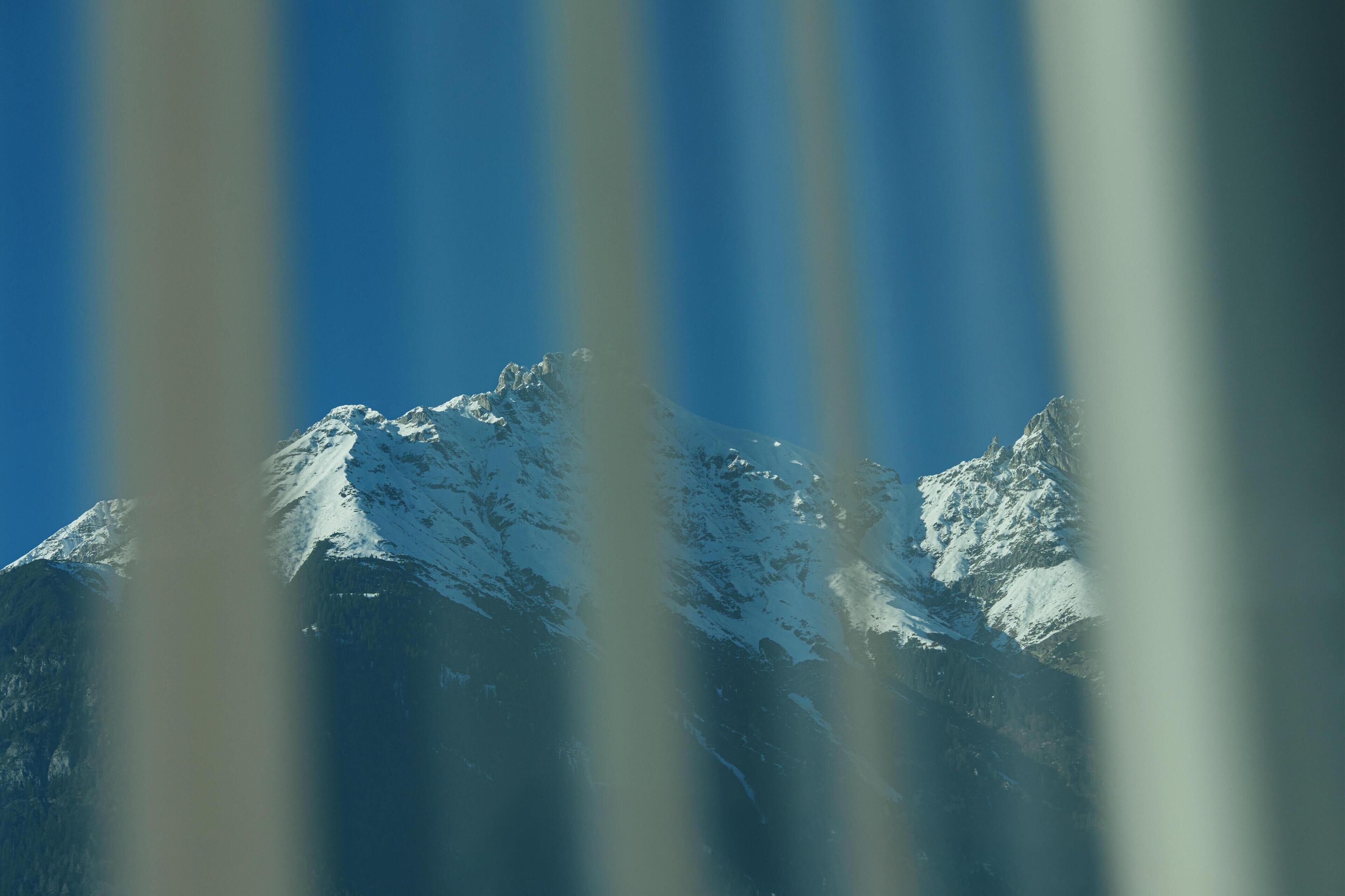 Suite | View from room