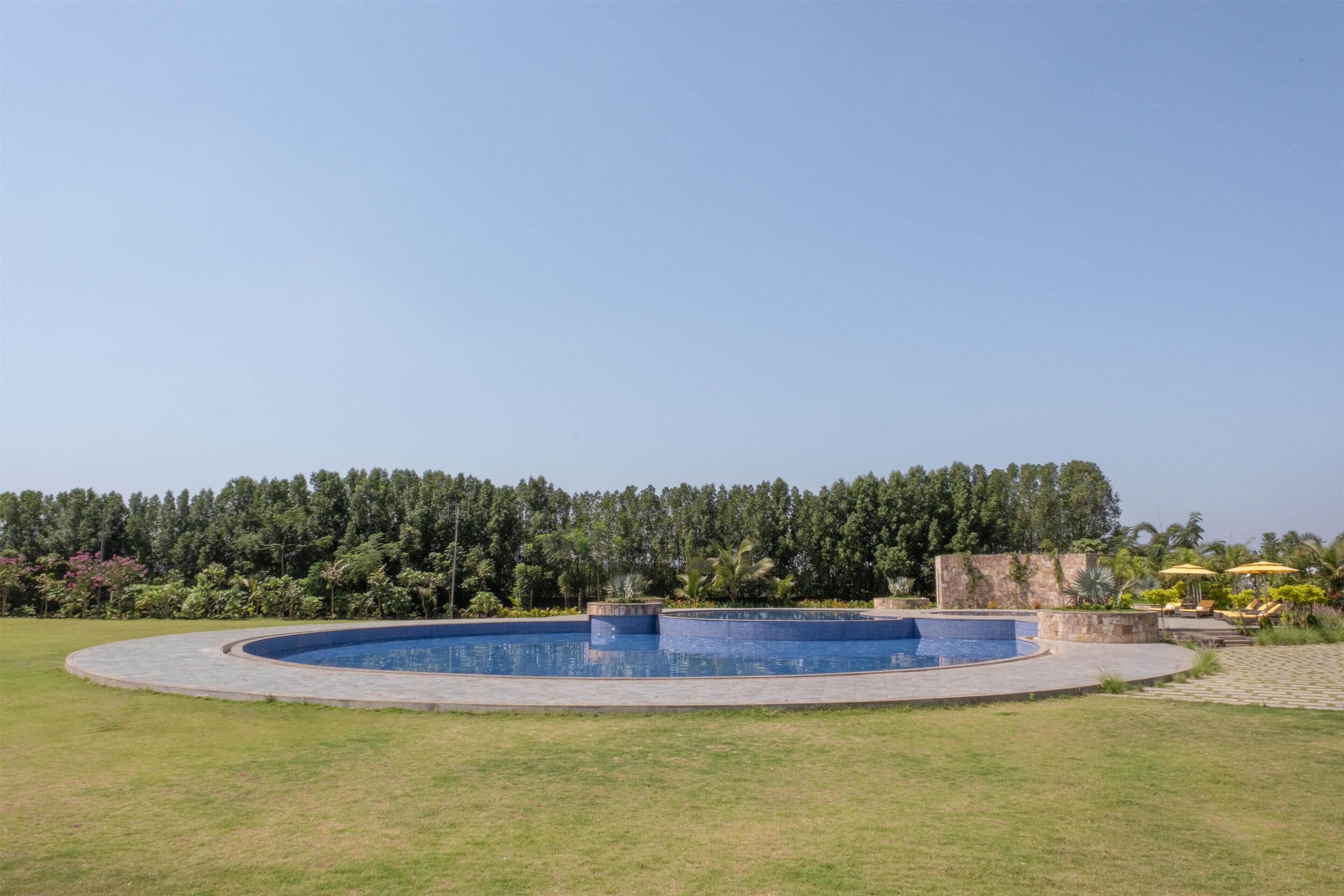 A swimming pool with a surrounding paved area, a grassy lawn, and a dense line of trees in the background.
