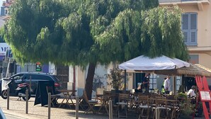 Ein Straßencafé mit Außenbestuhlung, einem Baum und Gebäuden im Hintergrund.