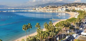 Beach - THE WILDLIFE (Cannes)