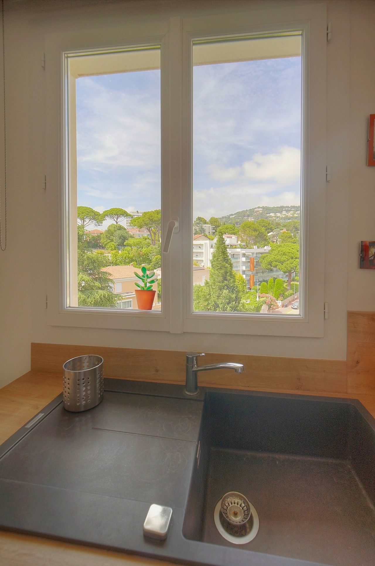 A kitchen with a double sink, a potted plant on the windowsill, and a view of a residential area.