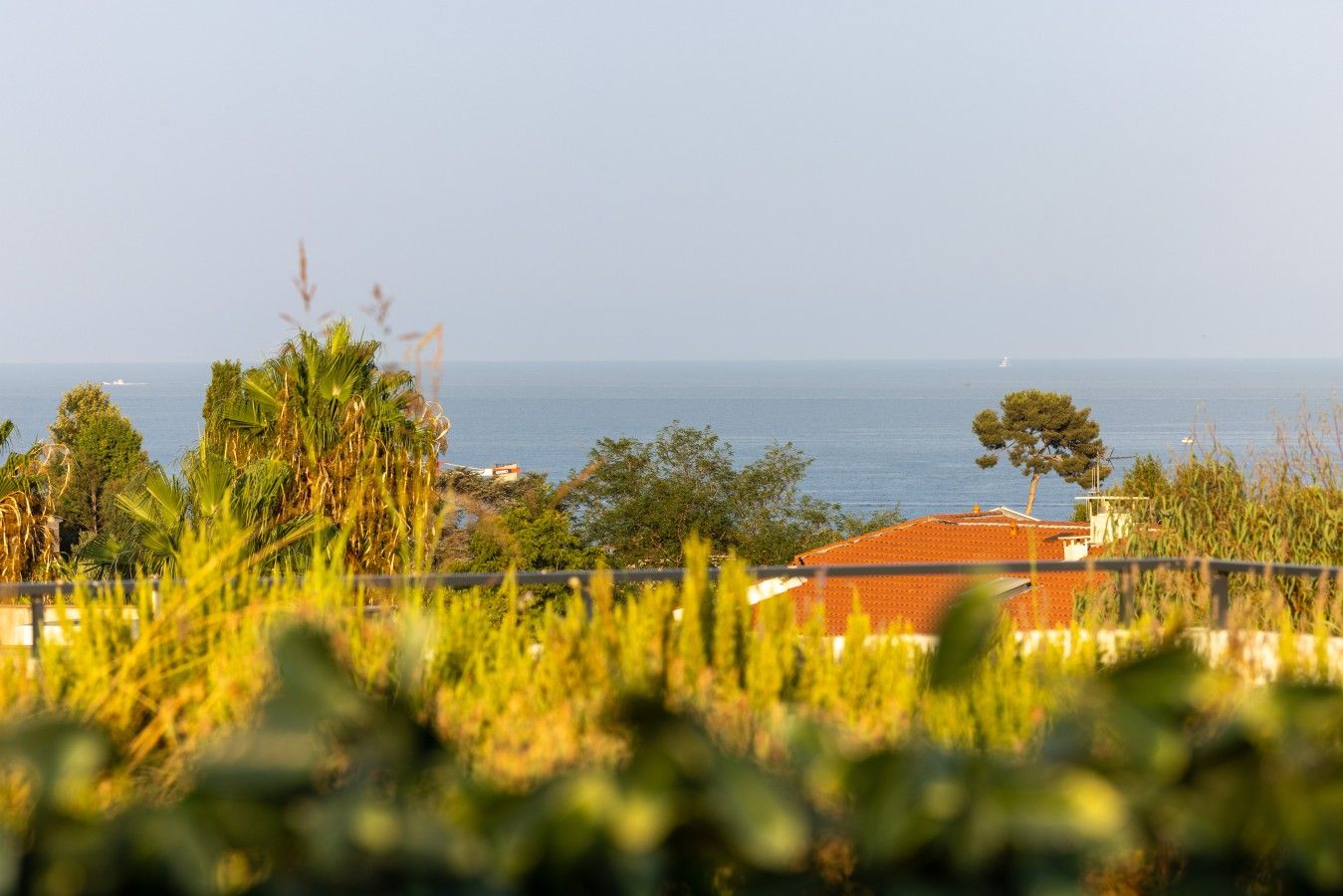 Vista costera con un edificio, vegetación y el mar.