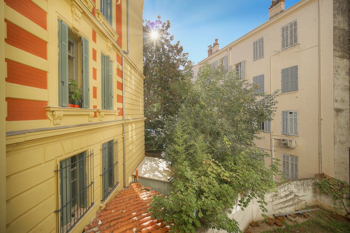 A narrow alleyway between buildings with a tree in the center.