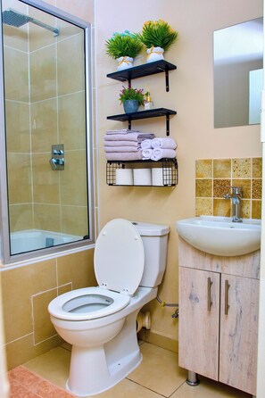 Bathroom - The perfect 2-bedroom apartment Designed for those who value neatness. (Harare)