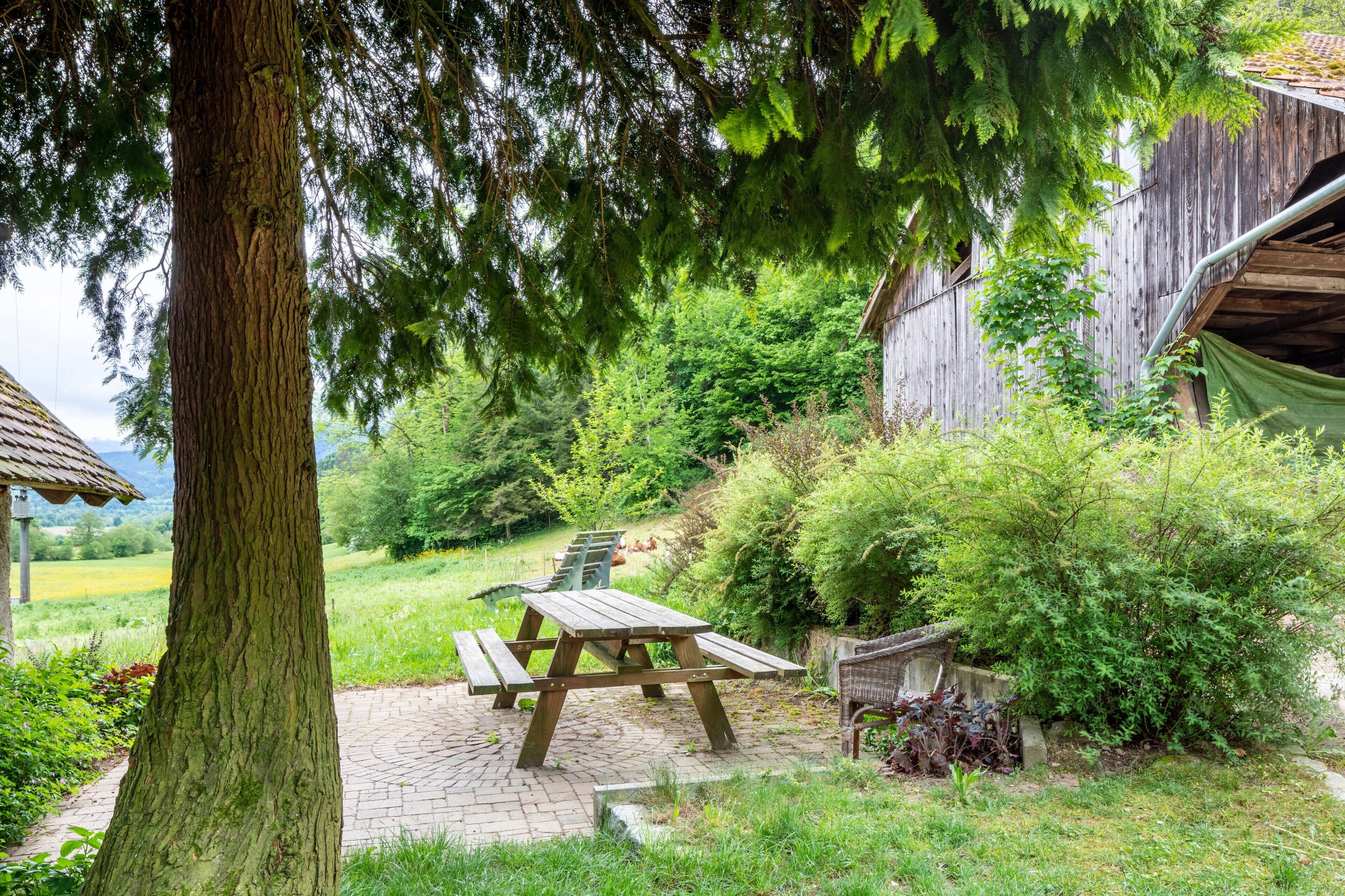 Speisen im Freien