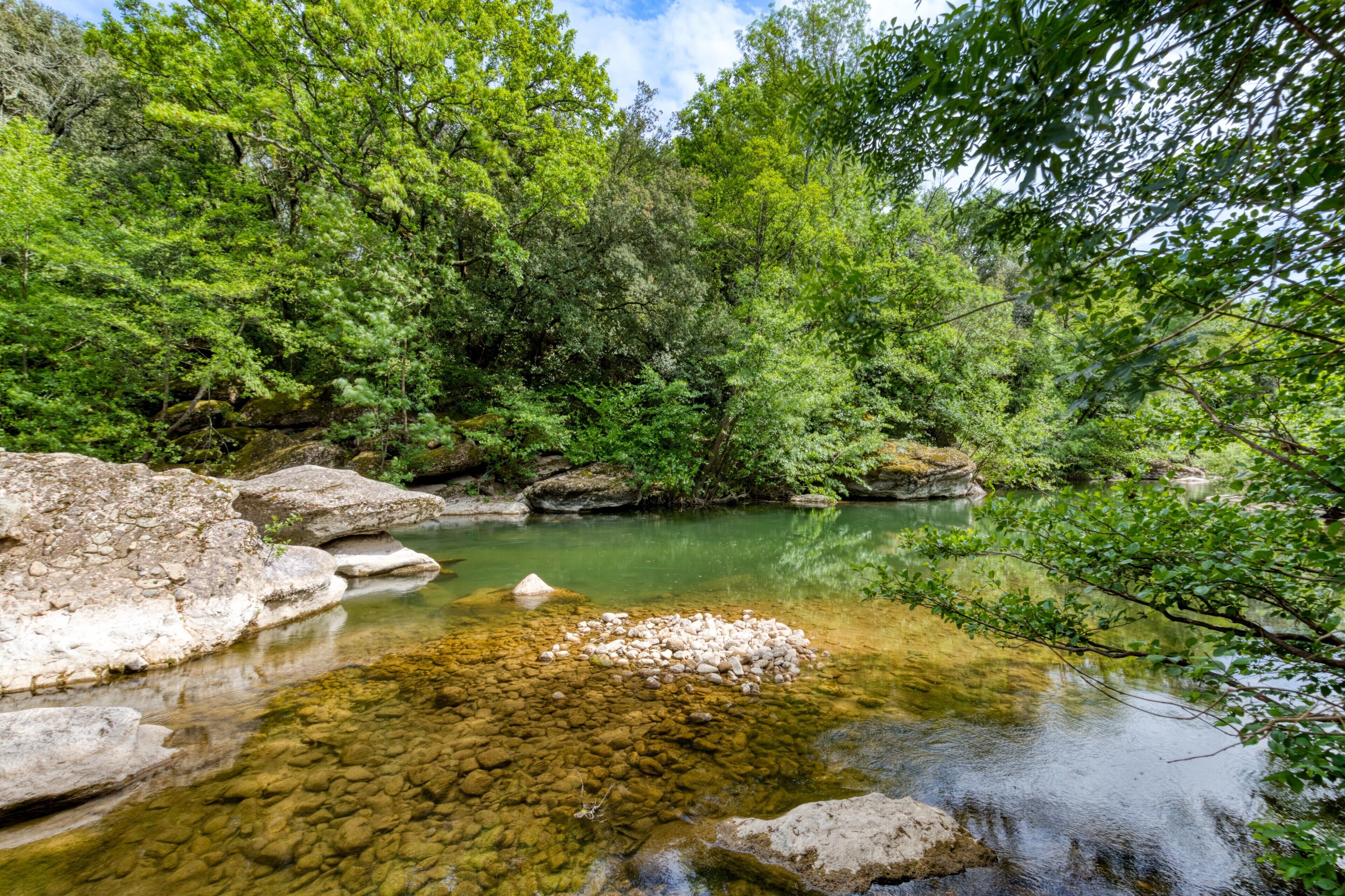 A natural landscape with a clear stream, rocks, and dense greenery.