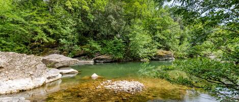 A natural landscape with a clear stream, rocks, and dense greenery.