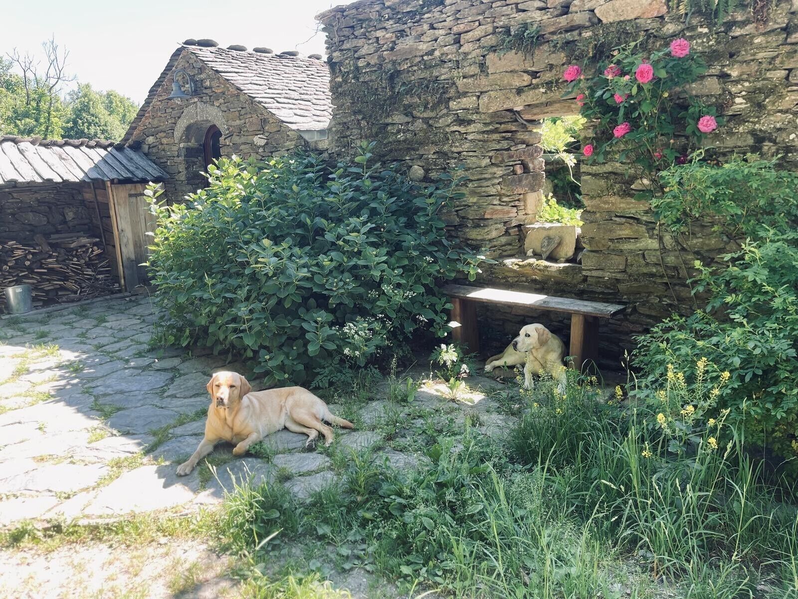 Um edifício de pedra com uma casinha de cachorro e um cão deitado no chão.