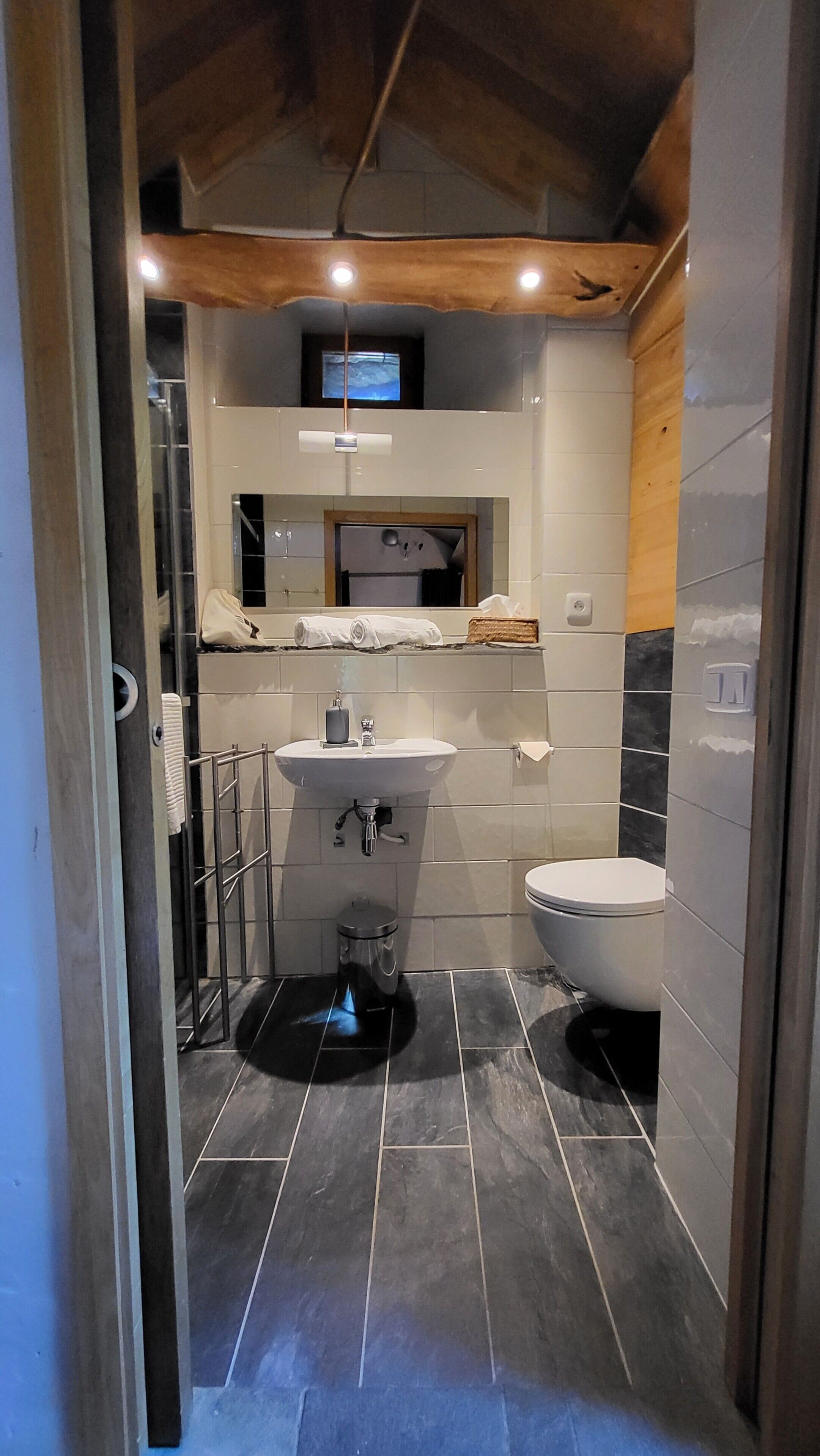 Un baño moderno con ducha, lavamanos e inodoro.