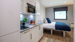 A modern kitchen with a built-in oven, a sink, and a countertop with a potted plant. - Student Only The Bridge Phase II (Newcastle-upon-Tyne)