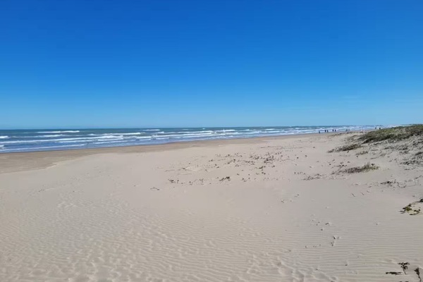 Ubicación a pie de playa, tumbonas y toallas de playa