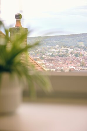 Interior - "Pearl" panoramic view (Lons-le-Saunier)