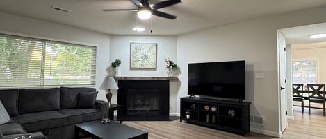 Smart TV, fireplace, books