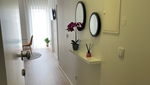 Un pasillo con suelo de madera, una planta en maceta, una silla y un espejo en la pared.