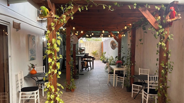 An outdoor patio with wooden pergola, potted plants, and seating arrangements.