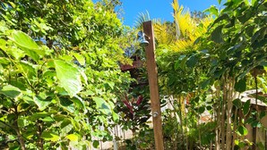 A pathway flanked by lush greenery and a wooden structure with a metal roof. - Sandy Bay Island Retreat w/Private Dock, Reef Snorkeling, Pool & Walk to Beach (Roatán)