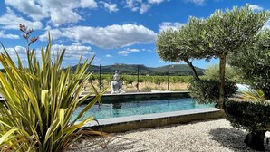 A pool with a Buddha statue, surrounded by greenery and a vineyard in the background. - Villa César "a haven of peace with breathtaking views (Chusclan)